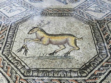 The 'Leaping Stag' Mosaic: An Exquisite Portrayal of Nature's Majesty and Roman Ingenuity!